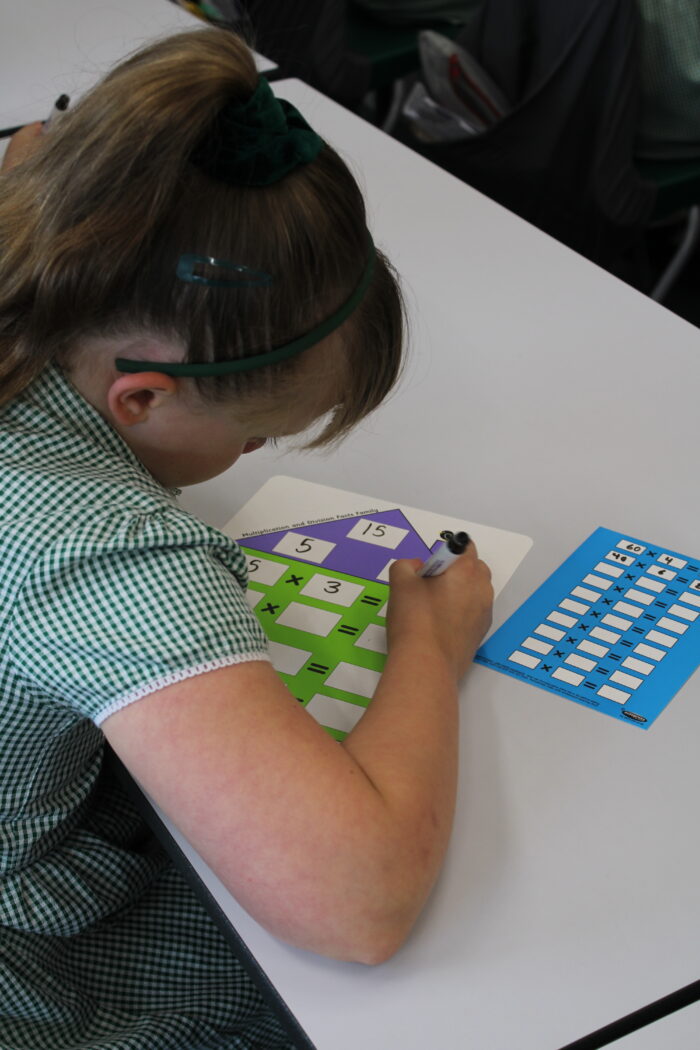 MULTIPLICATION/DIVISION PRACTICE CARD - Image 3