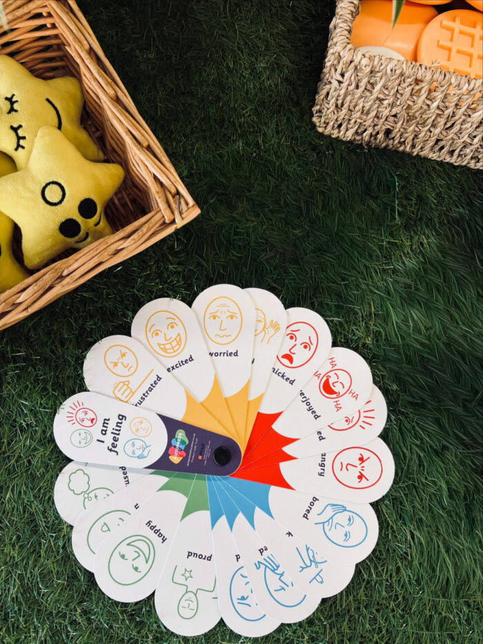 ZONES OF REGULATION FAN