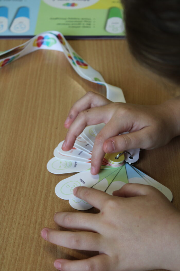 MINI ZONES OF REGULATION FAN - Image 3
