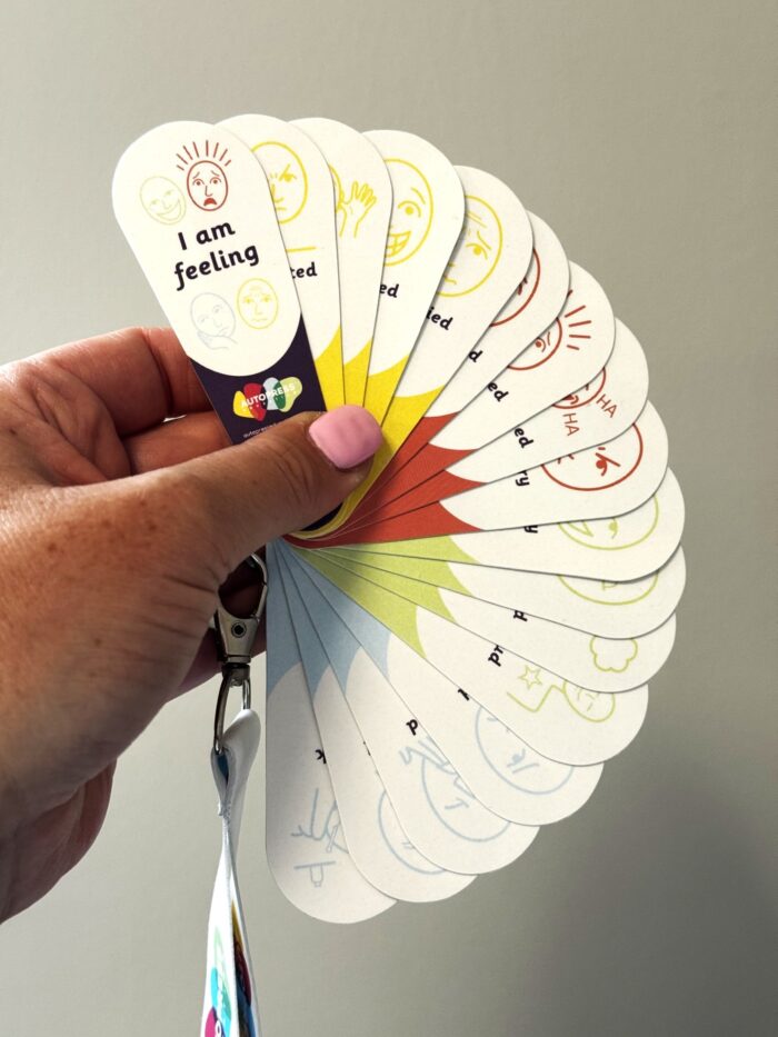 MINI ZONES OF REGULATION FAN